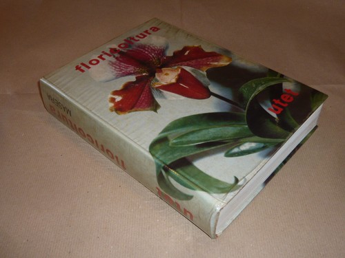 Onorato masera floricoltura - masera,,