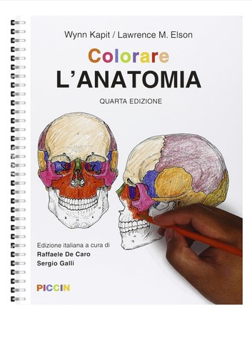 Colorare anatomia kapit - -,